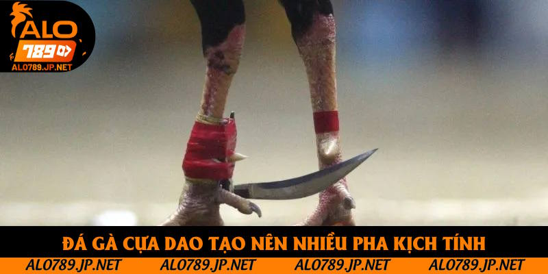 Đá Gà Alo789: Tìm Hiểu Sảnh Cược Hot Nhất Khu Vực Châu Á 2025 4 Đá gà cựa dao tạo nên nhiều pha kịch tính