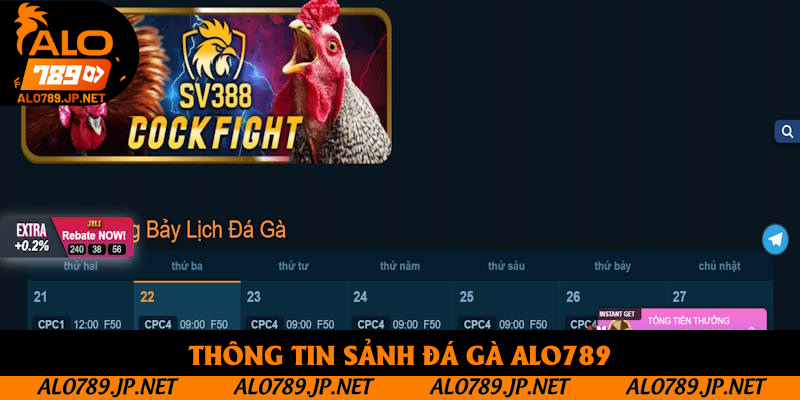 Đá Gà Alo789: Tìm Hiểu Sảnh Cược Hot Nhất Khu Vực Châu Á 2025 2 Thông tin sảnh đá gà Alo789