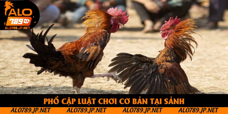 Đá Gà Alo789: Tìm Hiểu Sảnh Cược Hot Nhất Khu Vực Châu Á 2025 3 Phổ cập luật chơi cơ bản tại sảnh
