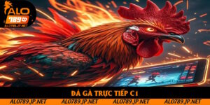 Đá Gà Trực Tiếp C1: Tổng Hợp Những Kèo Cược Nhà Cái Mới Lạ